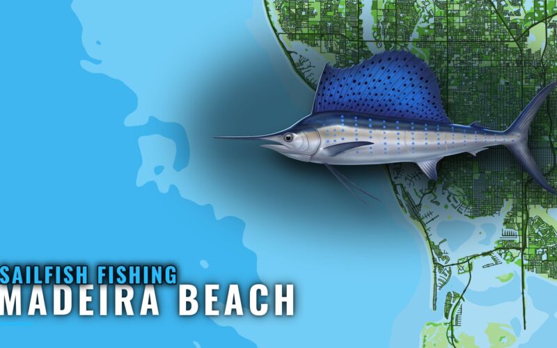 Sailfish Fishing out of Madeira Beach: Where and How