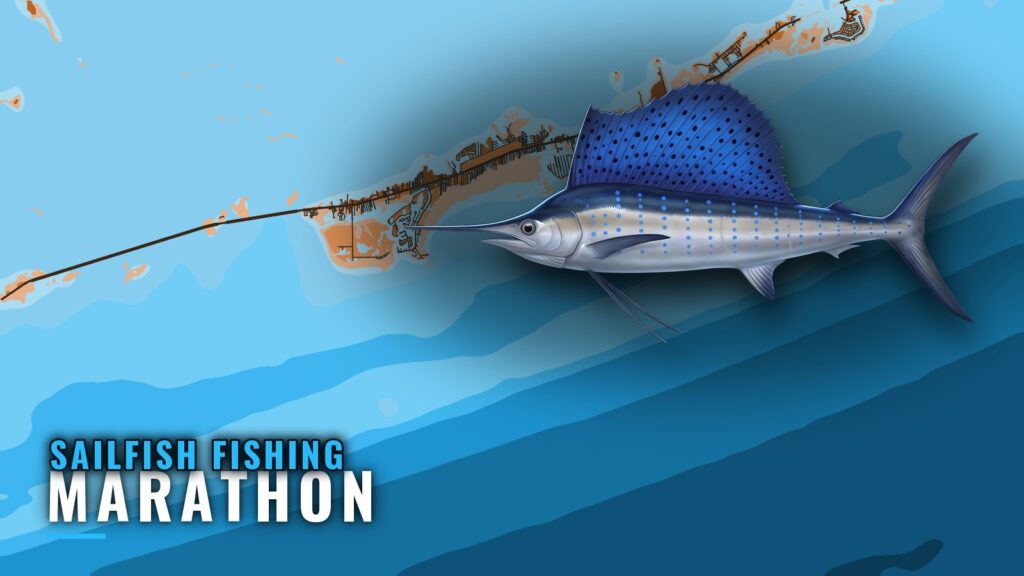 Sailfish Fishing Out of Marathon: Run, Depths and Structure