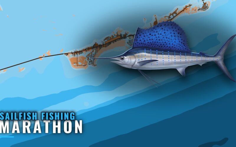 Sailfish Fishing Out of Marathon: Run, Depths and Structure