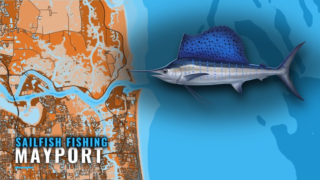 Sailfish Fishing Out of Mayport: Reefs, Depths and Timing