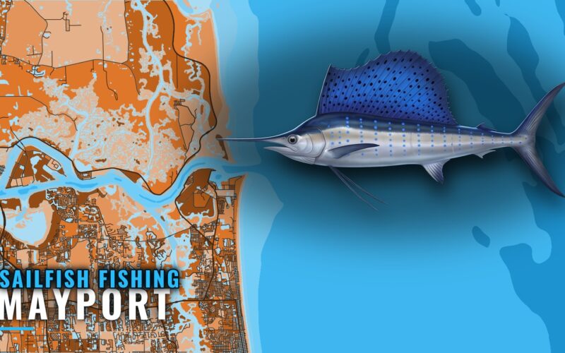 Sailfish Fishing Out of Mayport: Reefs, Depths and Timing