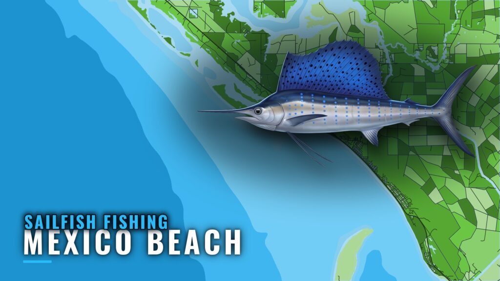 Sailfish Fishing Out of Mexico Beach: What Is Documented