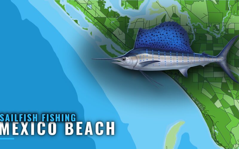 Sailfish Fishing Out of Mexico Beach: What Is Documented
