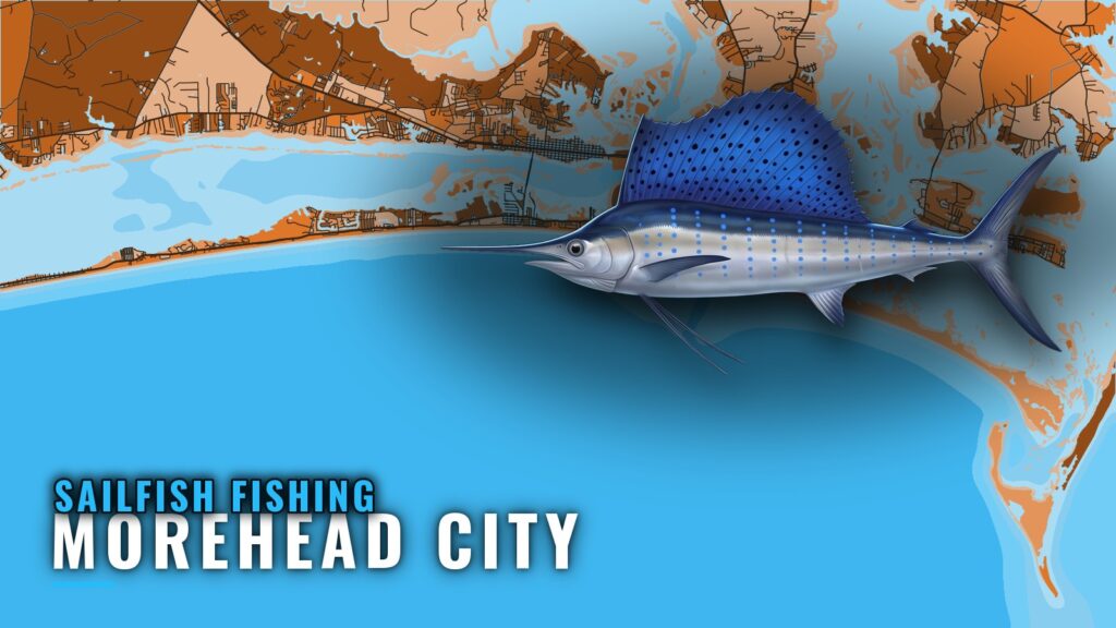 Sailfish Fishing Out of Morehead City: Season and Grounds