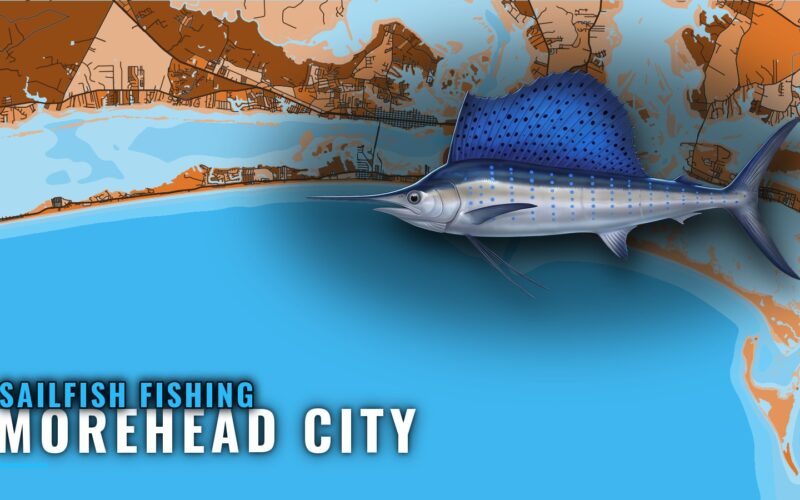 Sailfish Fishing Out of Morehead City: Season and Grounds