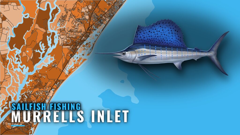 Sailfish Fishing Out of Murrells Inlet: The Gulf Stream Run
