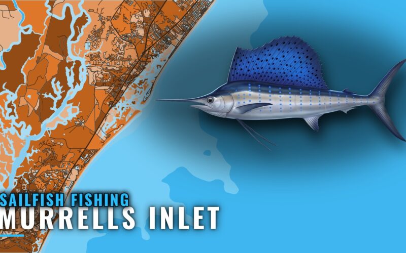 Sailfish Fishing Out of Murrells Inlet: The Gulf Stream Run
