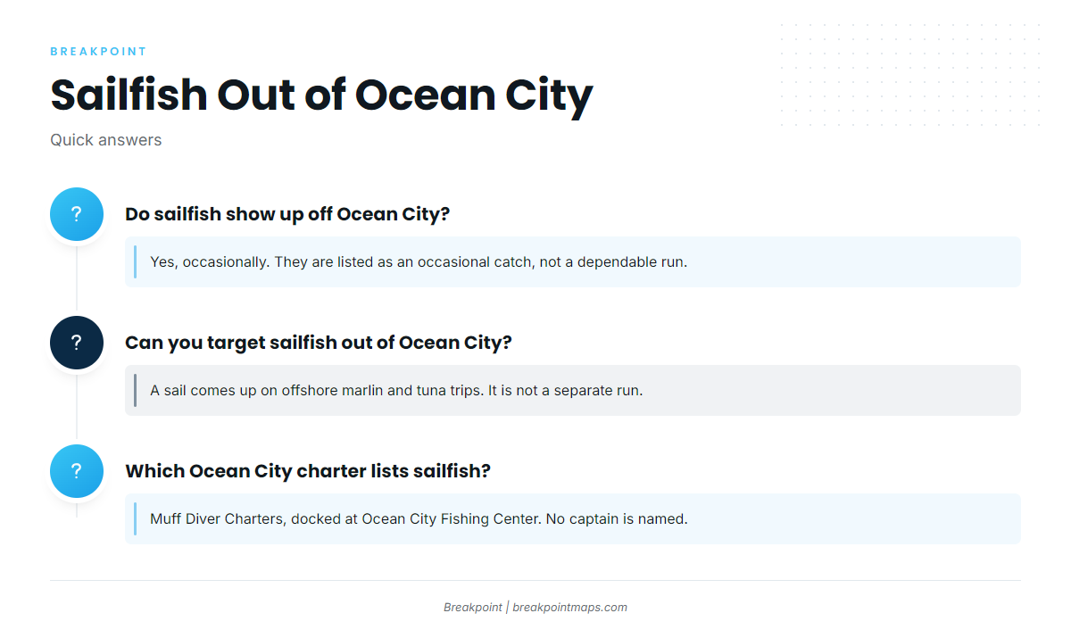 FAQ about sailfish fishing out of Ocean City