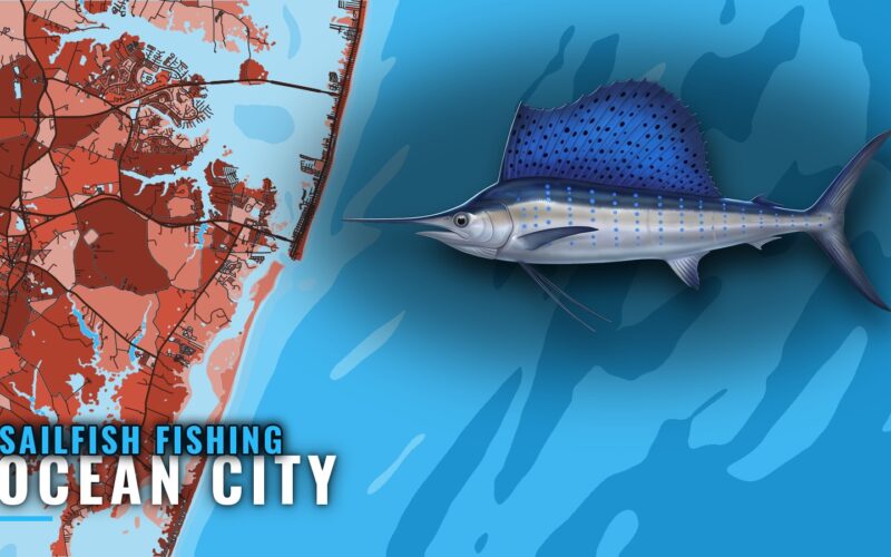 Sailfish Fishing Out of Ocean City, Maryland