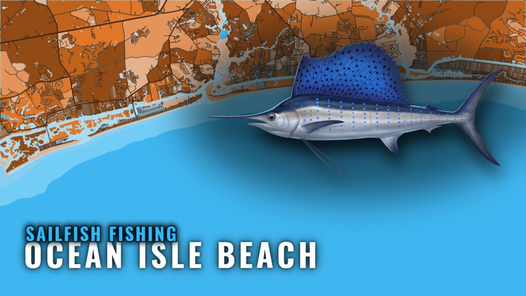Sailfish Fishing out of Ocean Isle Beach: Where Boats Run
