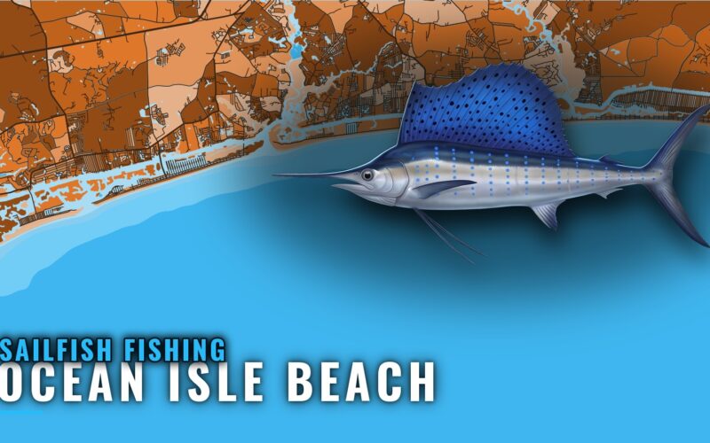 Sailfish Fishing out of Ocean Isle Beach: Where Boats Run