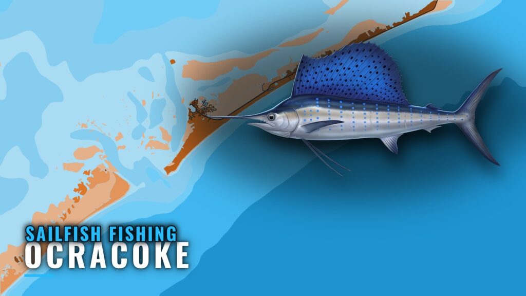 Sailfish Fishing Out of Ocracoke: Season, Grounds, Charters