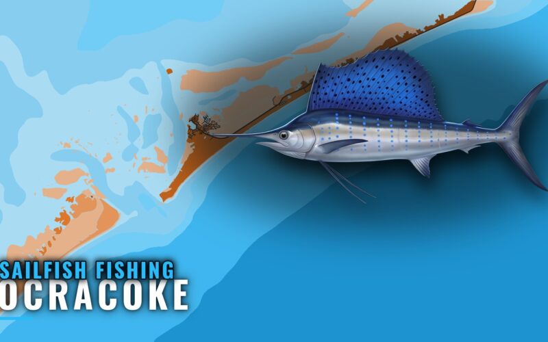 Sailfish Fishing Out of Ocracoke: Season, Grounds, Charters