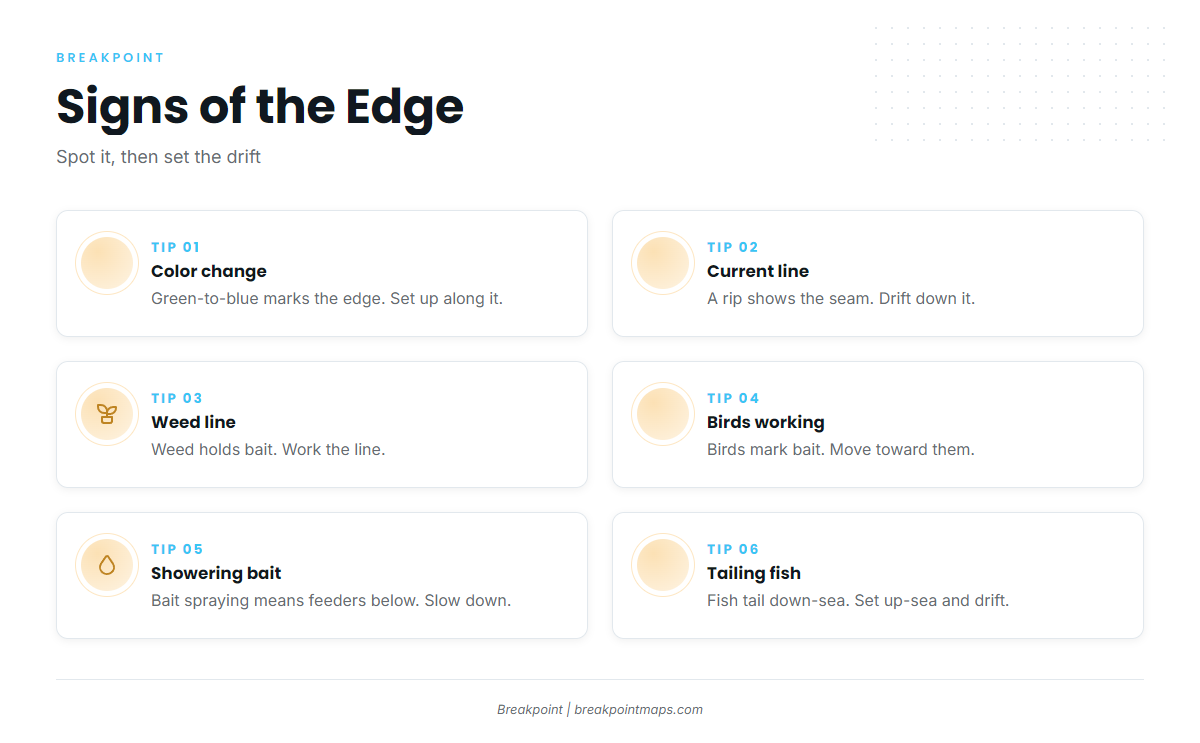Signs of the Edge