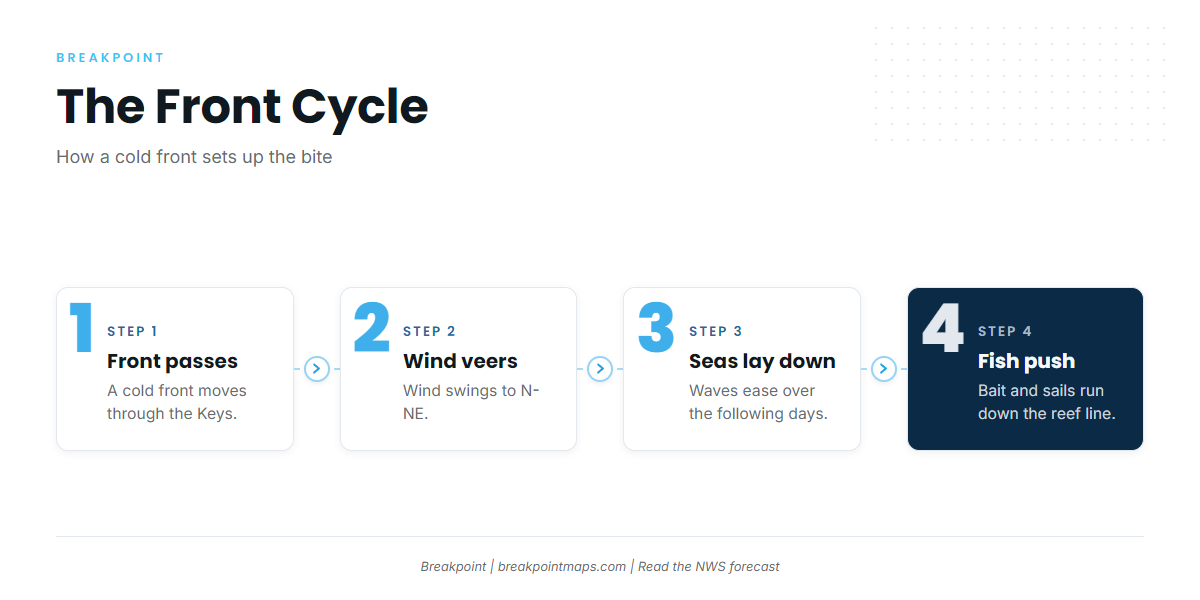 Season and the front cycle