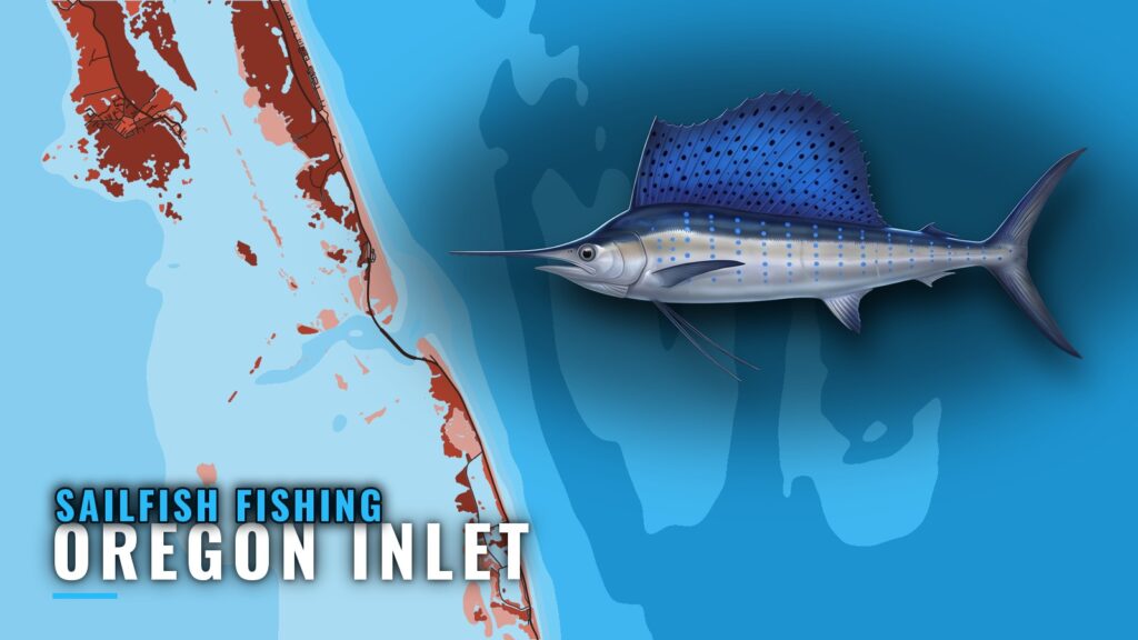 Sailfish Fishing Out of Oregon Inlet: Run, Buoy and Water