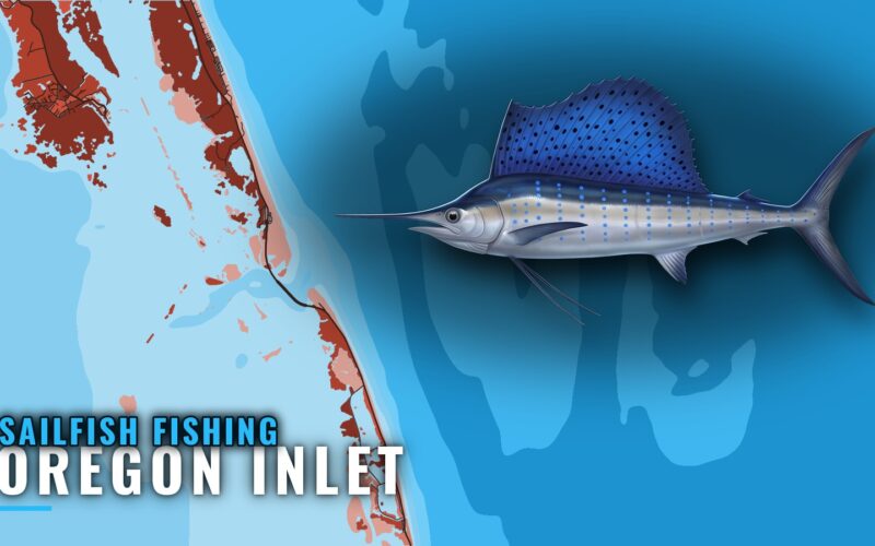 Sailfish Fishing Out of Oregon Inlet: Run, Buoy and Water
