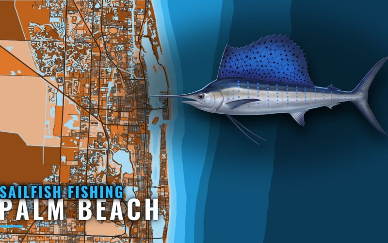 Sailfish Fishing Out of Palm Beach: Ledge, Grounds, Season