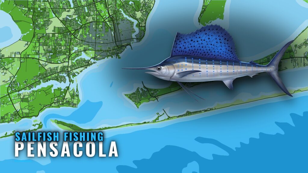 Sailfish Fishing Out of Pensacola: Reefs, Charters, Timing
