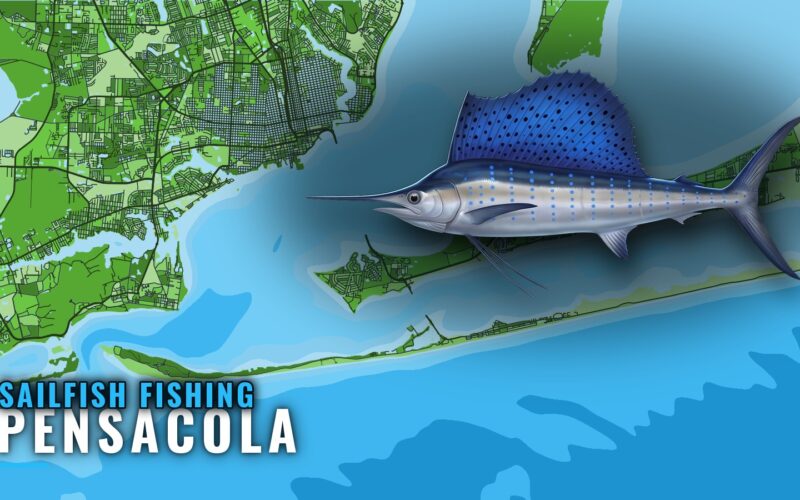 Sailfish Fishing Out of Pensacola: Reefs, Charters, Timing
