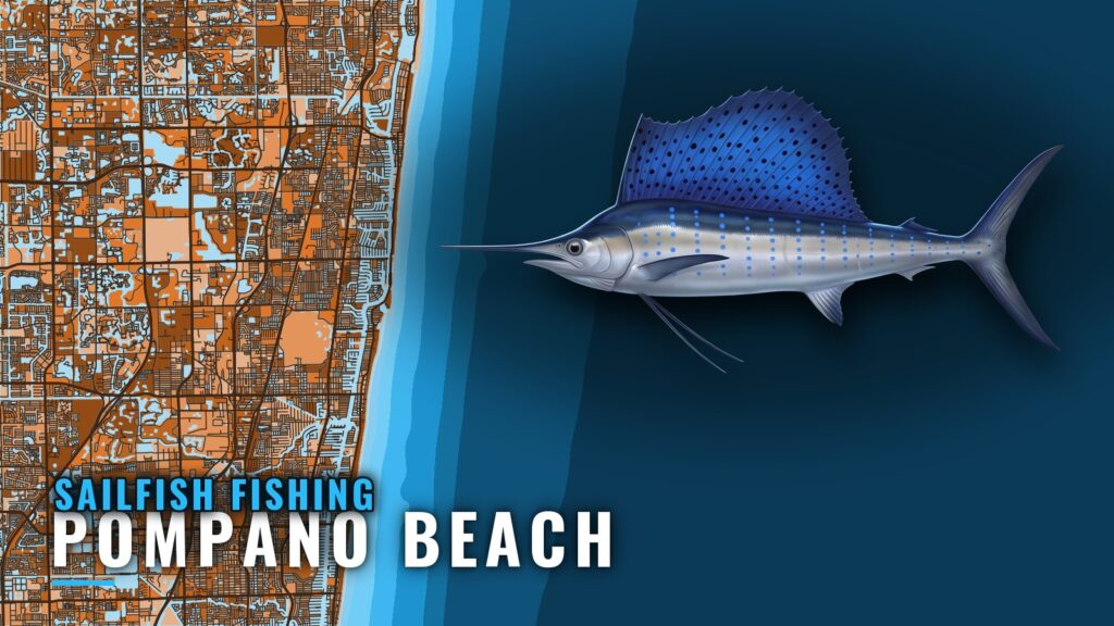 Sailfish Fishing Out of Pompano Beach: Run, Depth, Grounds