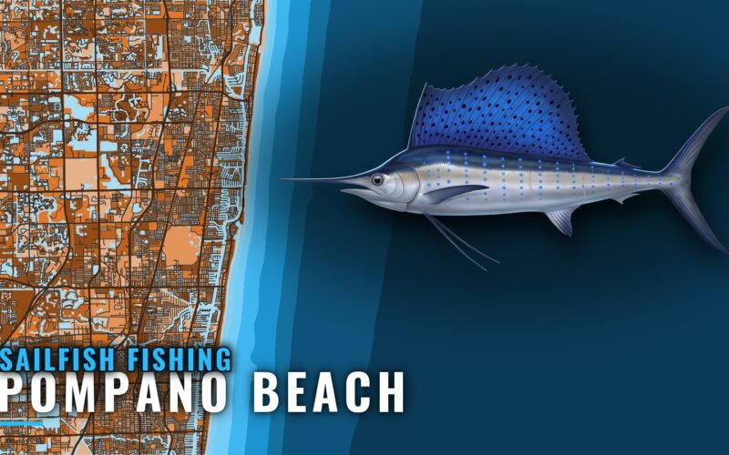 Sailfish Fishing Out of Pompano Beach: Run, Depth, Grounds