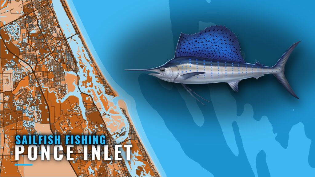 Sailfish Fishing Out of Ponce Inlet: Grounds and Depths