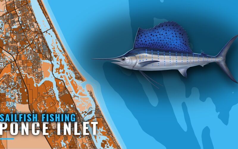 Sailfish Fishing Out of Ponce Inlet: Grounds and Depths