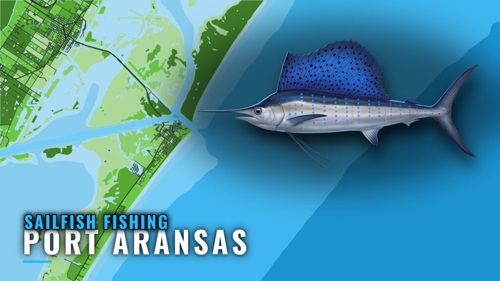 Sailfish Fishing Out of Port Aransas: Season, Run, Reefs