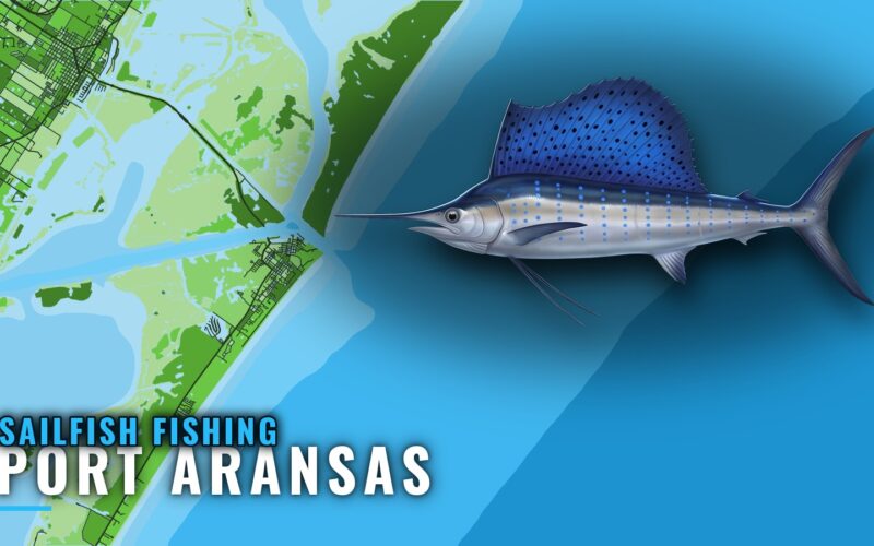 Sailfish Fishing Out of Port Aransas: Season, Run, Reefs