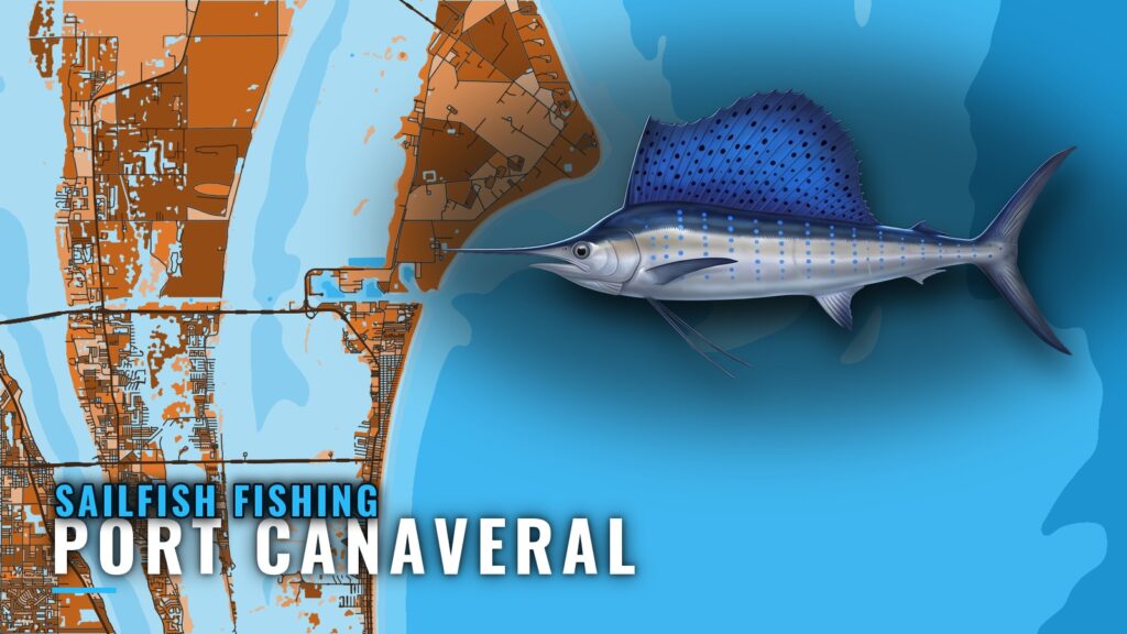Sailfish Fishing out of Port Canaveral: Grounds and Runs