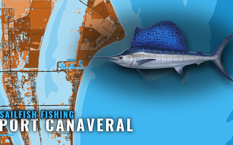 Sailfish Fishing out of Port Canaveral: Grounds and Runs