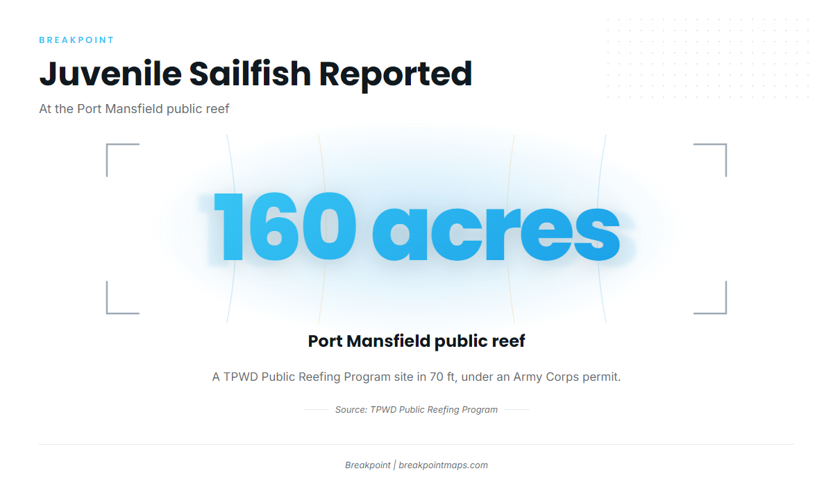 When sailfish are off Port Mansfield