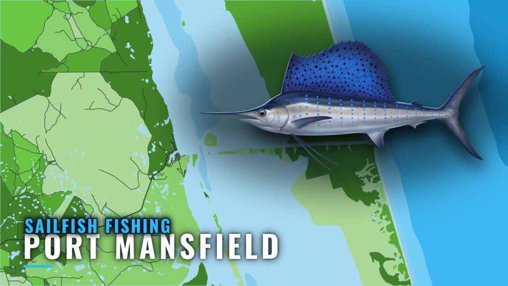 Sailfish Fishing Out of Port Mansfield: Reef, Rocks, Runs