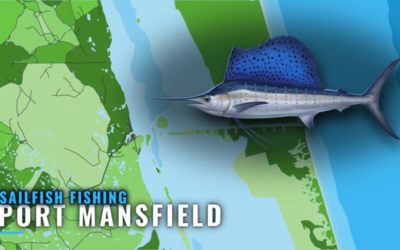 Sailfish Fishing Out of Port Mansfield: Reef, Rocks, Runs