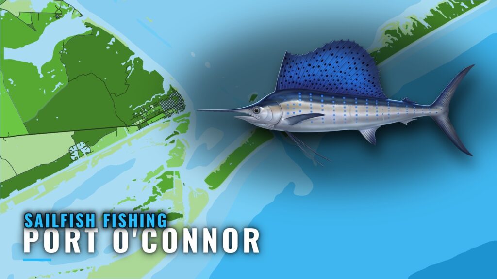 Sailfish Fishing out of Port O’Connor: Grounds and Season