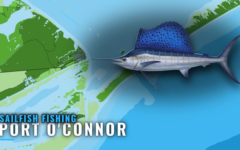 Sailfish Fishing out of Port O’Connor: Grounds and Season