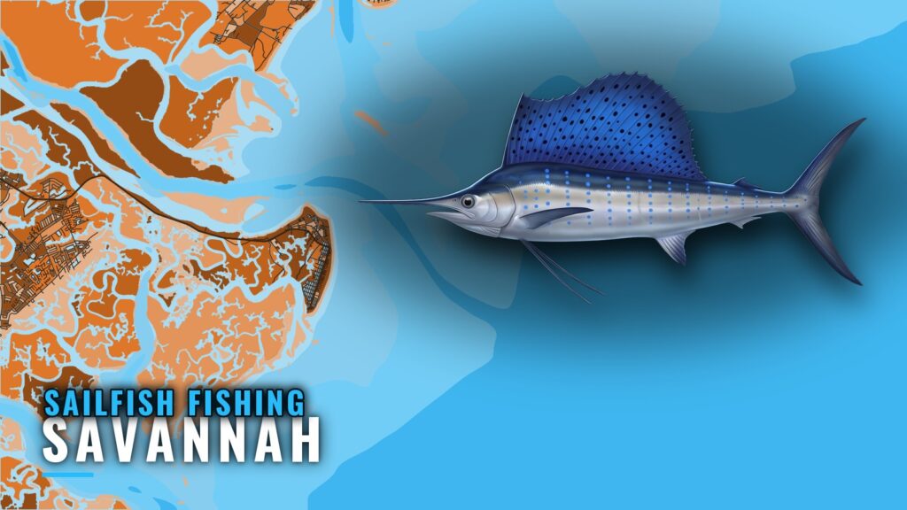 Sailfish Fishing Out of Savannah: Grounds, Runs and Methods