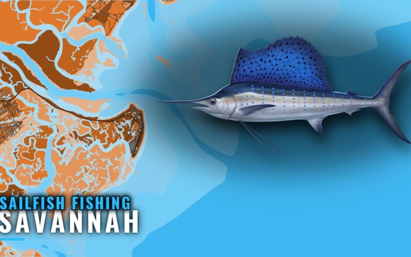 Sailfish Fishing Out of Savannah: Grounds, Runs and Methods
