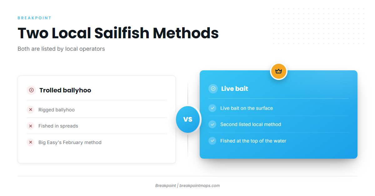 How sailfish are fished out of Sebastian Inlet