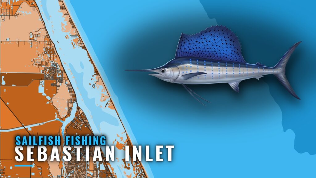 Sailfish Fishing out of Sebastian Inlet: Runs and Grounds