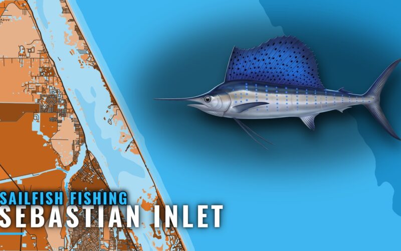 Sailfish Fishing out of Sebastian Inlet: Runs and Grounds