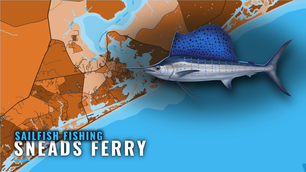 Sailfish Fishing Out of Sneads Ferry: Runs, Grounds, Method