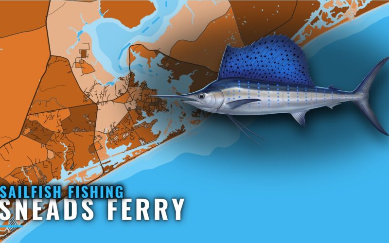 Sailfish Fishing Out of Sneads Ferry: Runs, Grounds, Method
