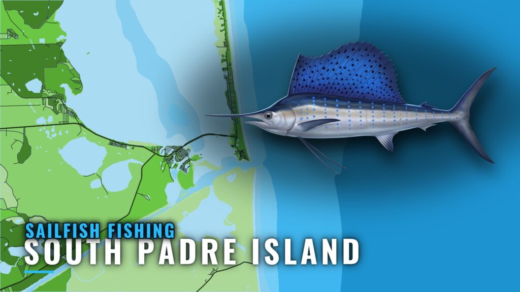 Sailfish Fishing out of South Padre Island: Where to Run