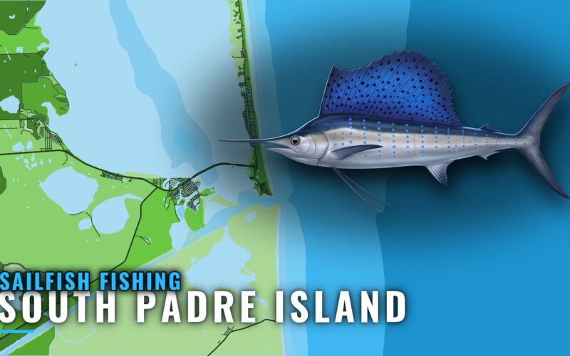 Sailfish Fishing out of South Padre Island: Where to Run
