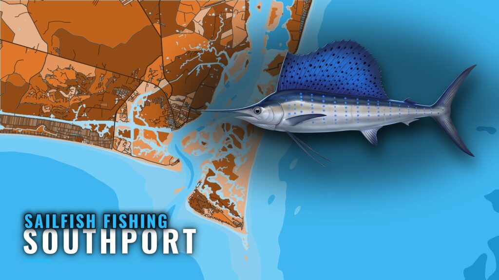 Sailfish Fishing Out of Southport: Runs, Grounds, Rules