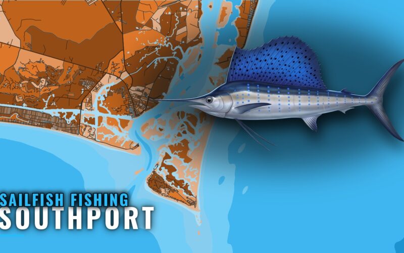 Sailfish Fishing Out of Southport: Runs, Grounds, Rules