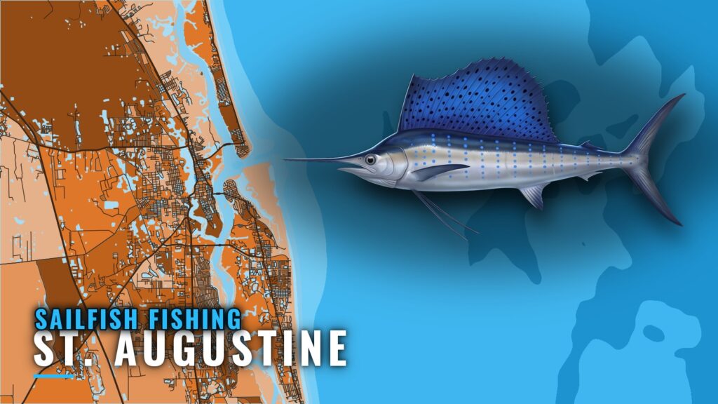 Sailfish Fishing Out of St. Augustine: Season, Reefs, Runs