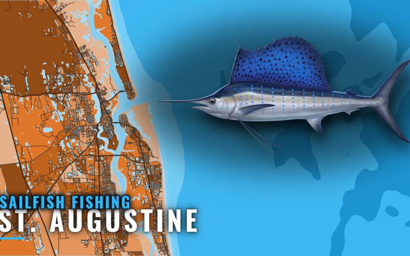 Sailfish Fishing Out of St. Augustine: Season, Reefs, Runs